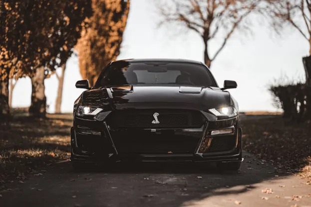 Ripper Kazino Android/iOS programa